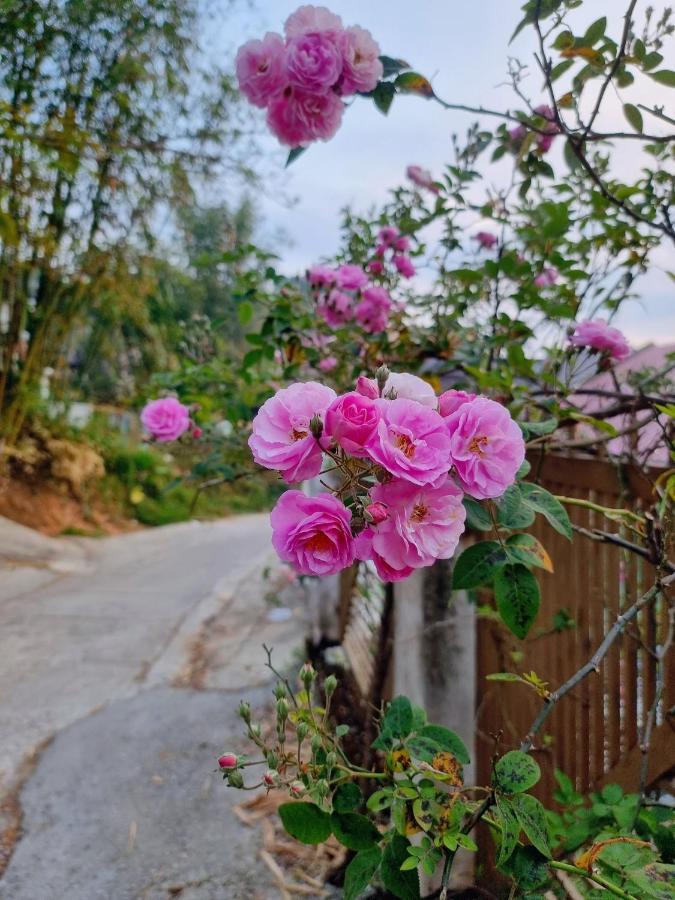 Bong Sen Hotel Dalat Exteriér fotografie